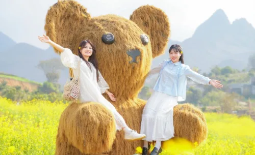 Tour Mộc Châu 1 Ngày 690k . Vườn cải – Vườn Hoa Mận -Vườn Cam Ly