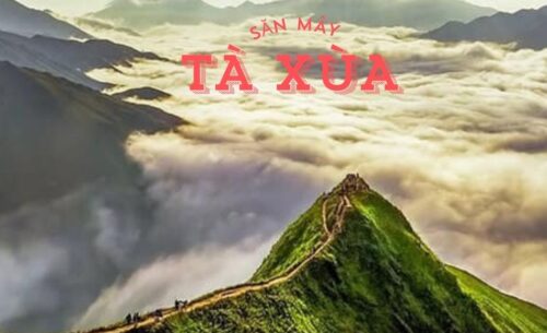 Tour Săn Mây Tà Xùa 2 Ngày 1 Đêm | Cưỡi sống lưng khủng long Tà Xùa săn mây